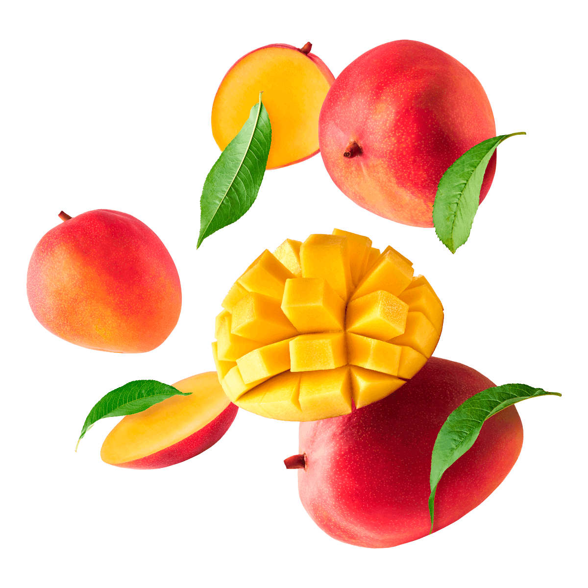 cato cheesetarts tarte mango