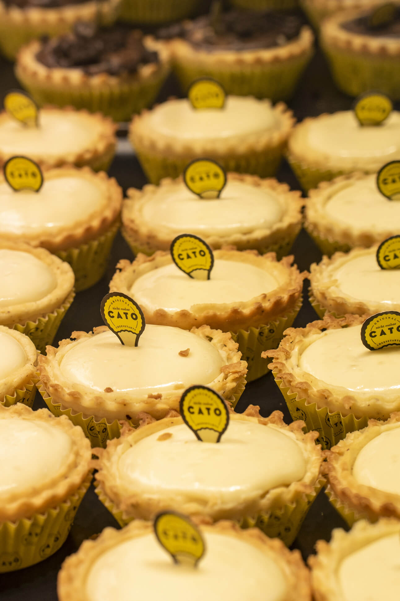 cato cheesetarts plain cheesetarts in einer reihe