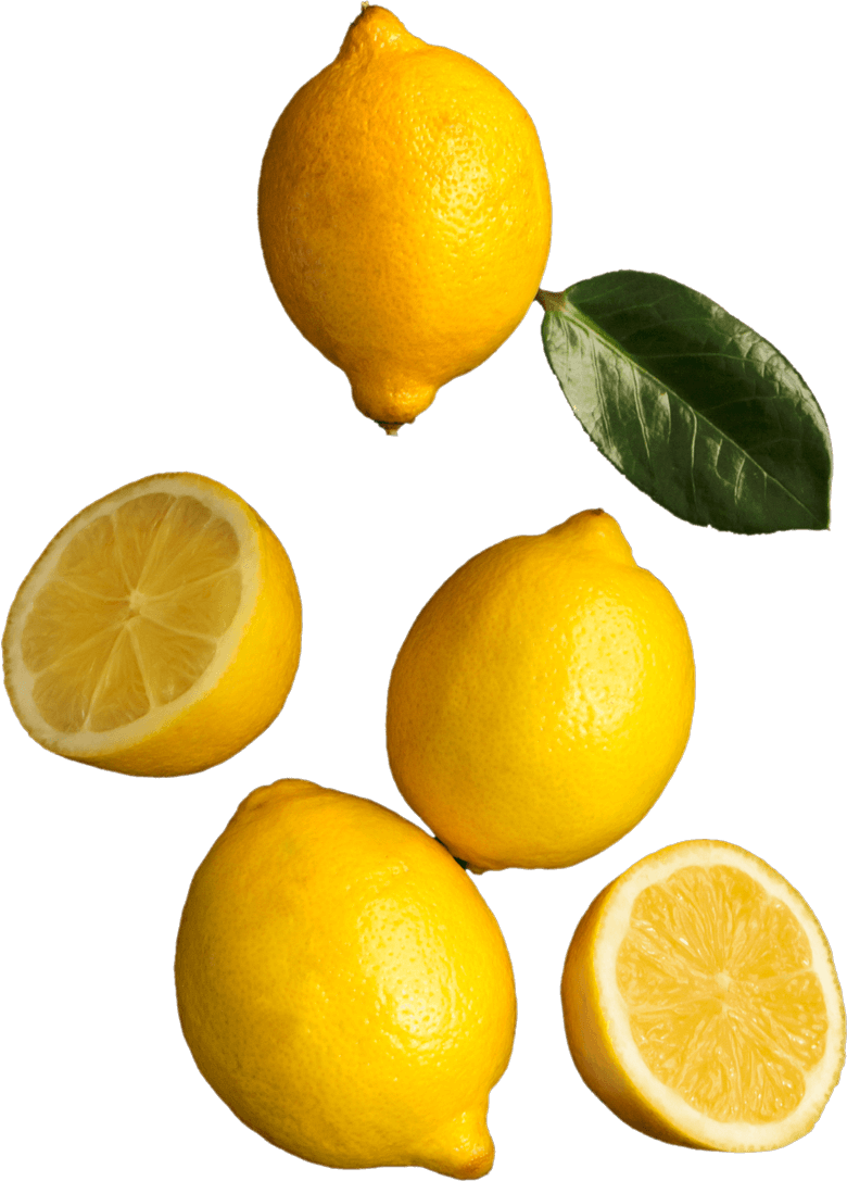 cato cheesetarts floating citrus